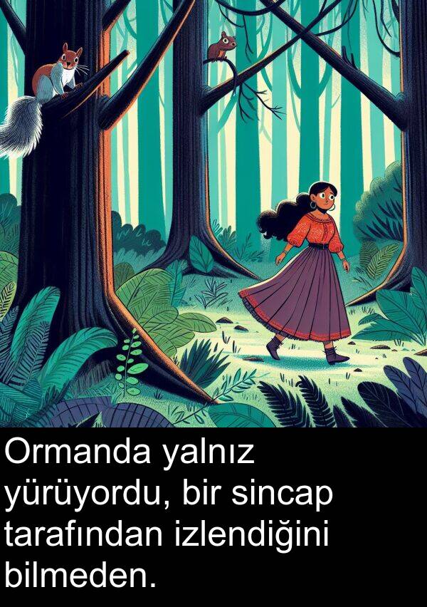 yalnız: Ormanda yalnız yürüyordu, bir sincap tarafından izlendiğini bilmeden.