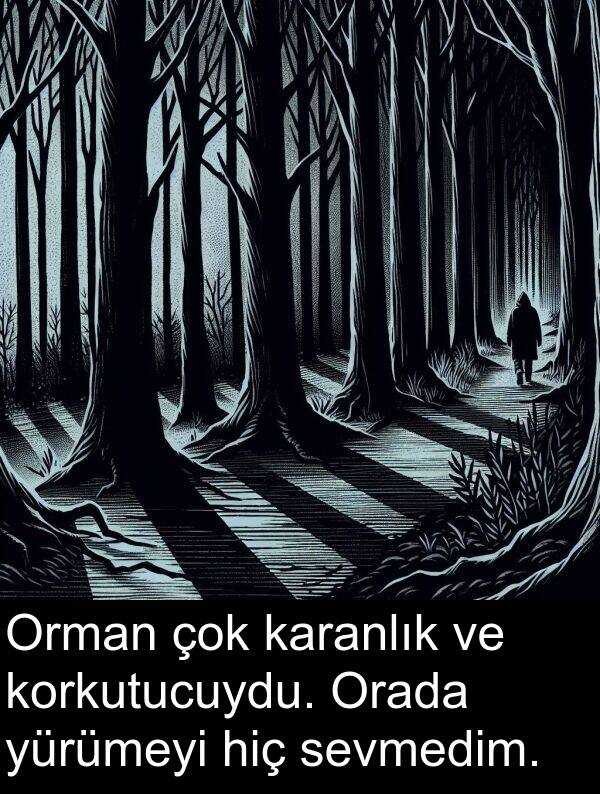 hiç: Orman çok karanlık ve korkutucuydu. Orada yürümeyi hiç sevmedim.