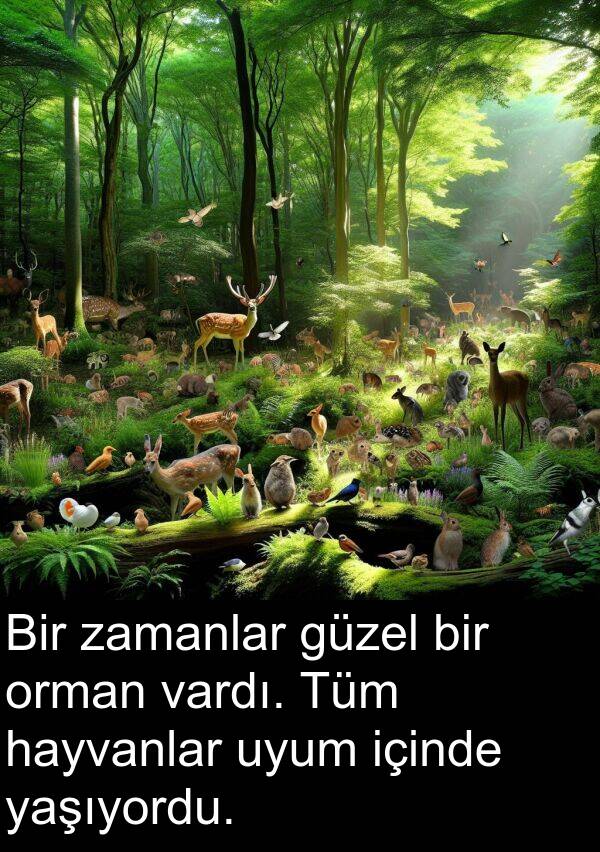 vardı: Bir zamanlar güzel bir orman vardı. Tüm hayvanlar uyum içinde yaşıyordu.