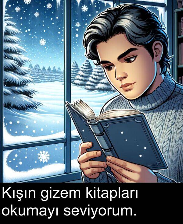 seviyorum: Kışın gizem kitapları okumayı seviyorum.