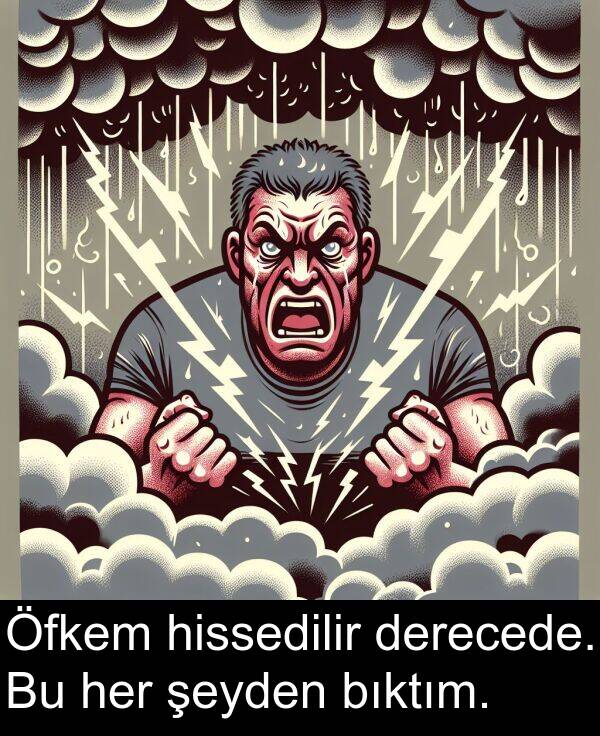hissedilir: Öfkem hissedilir derecede. Bu her şeyden bıktım.