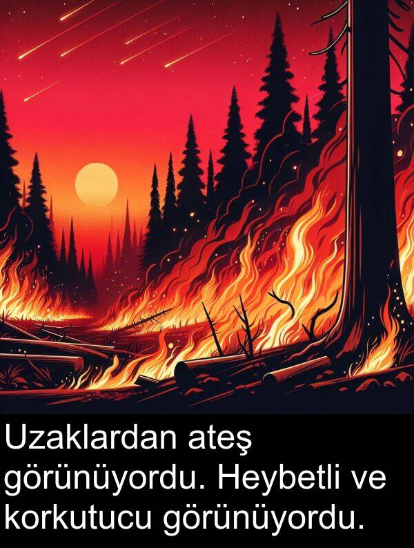 ateş: Uzaklardan ateş görünüyordu. Heybetli ve korkutucu görünüyordu.