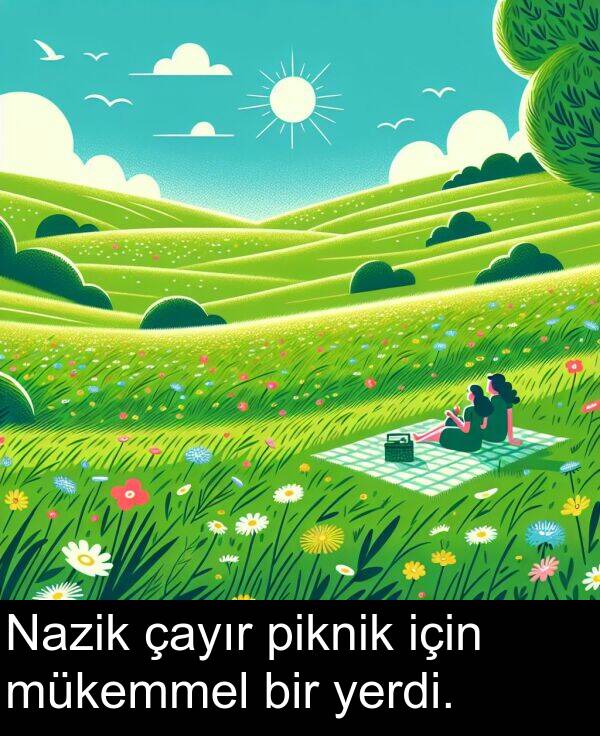 piknik: Nazik çayır piknik için mükemmel bir yerdi.