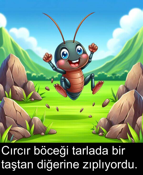 zıplıyordu: Cırcır böceği tarlada bir taştan diğerine zıplıyordu.