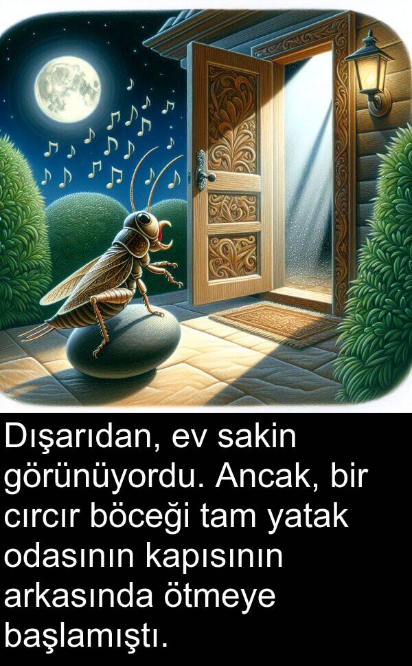 kapısının: Dışarıdan, ev sakin görünüyordu. Ancak, bir cırcır böceği tam yatak odasının kapısının arkasında ötmeye başlamıştı.