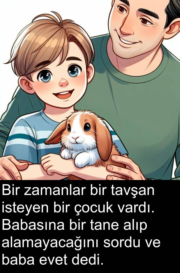 alamayacağını: Bir zamanlar bir tavşan isteyen bir çocuk vardı. Babasına bir tane alıp alamayacağını sordu ve baba evet dedi.