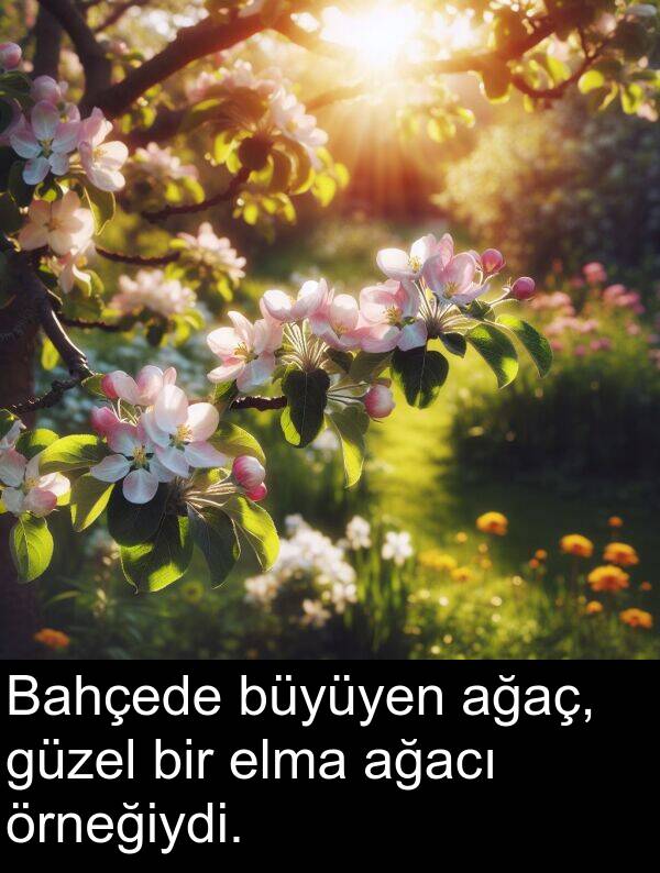 ağaç: Bahçede büyüyen ağaç, güzel bir elma ağacı örneğiydi.