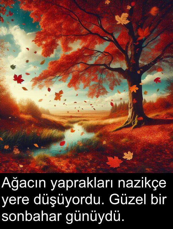 nazikçe: Ağacın yaprakları nazikçe yere düşüyordu. Güzel bir sonbahar günüydü.