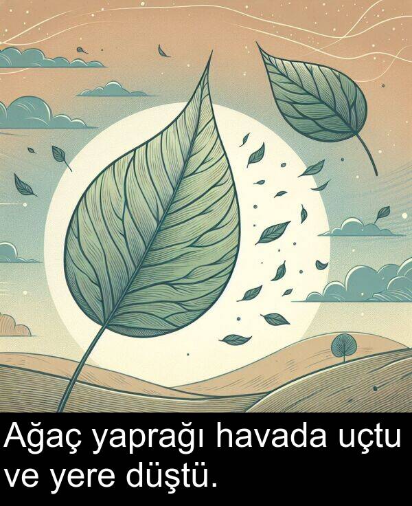 uçtu: Ağaç yaprağı havada uçtu ve yere düştü.