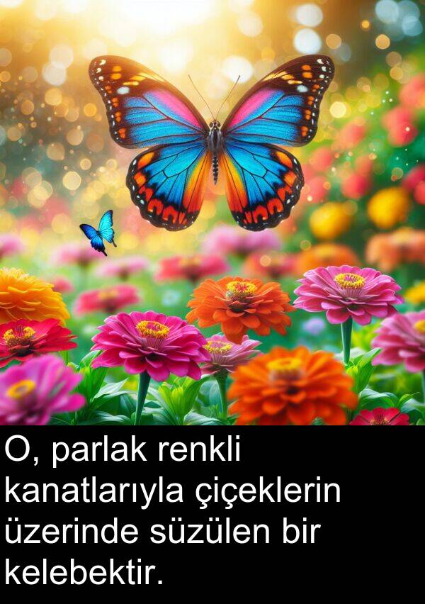 parlak: O, parlak renkli kanatlarıyla çiçeklerin üzerinde süzülen bir kelebektir.