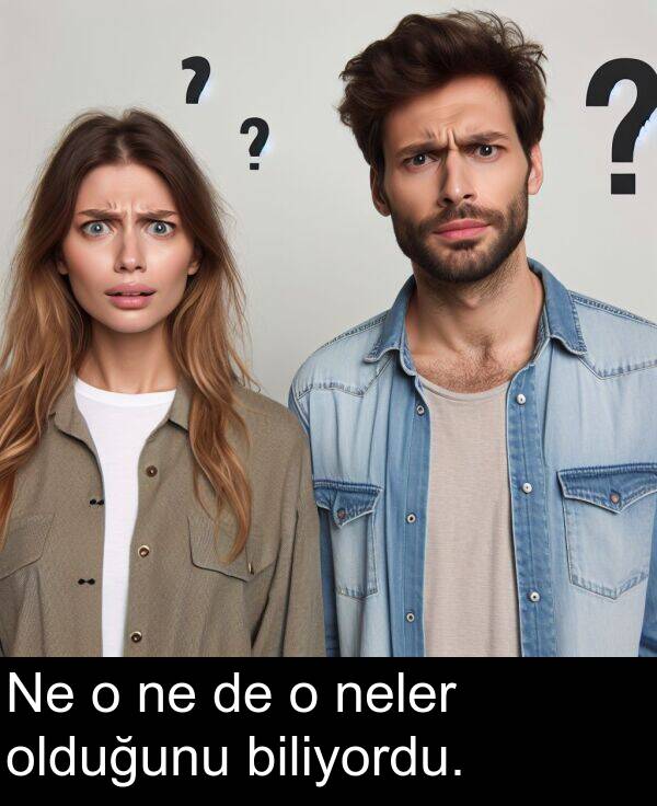 neler: Ne o ne de o neler olduğunu biliyordu.