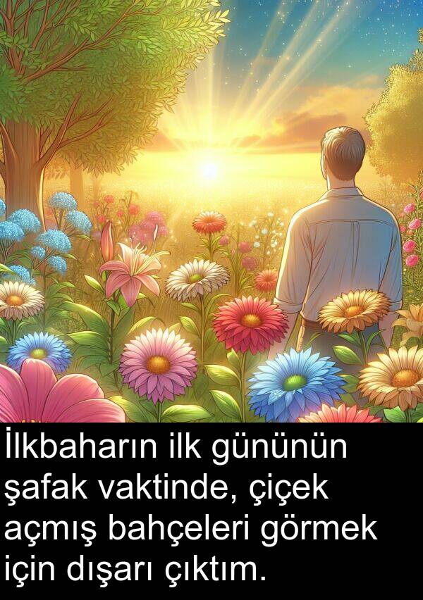 açmış: İlkbaharın ilk gününün şafak vaktinde, çiçek açmış bahçeleri görmek için dışarı çıktım.