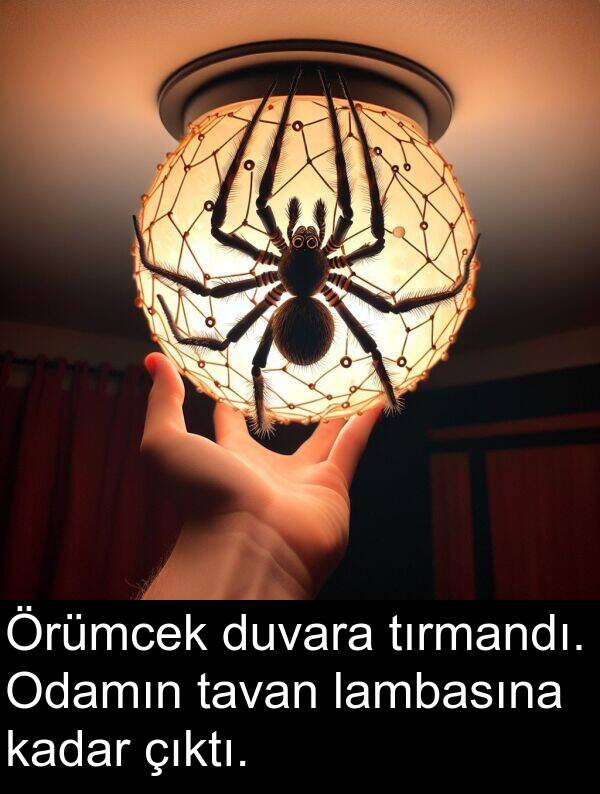 kadar: Örümcek duvara tırmandı. Odamın tavan lambasına kadar çıktı.