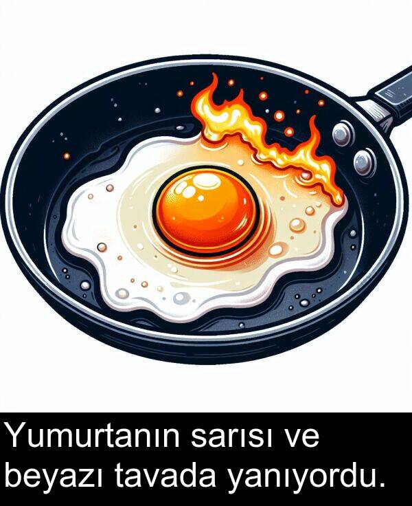 sarısı: Yumurtanın sarısı ve beyazı tavada yanıyordu.