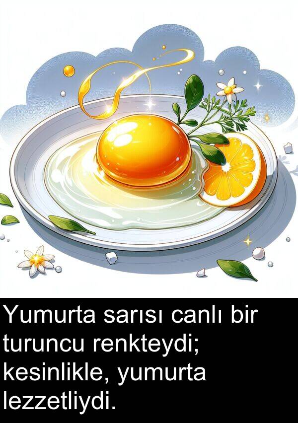 sarısı: Yumurta sarısı canlı bir turuncu renkteydi; kesinlikle, yumurta lezzetliydi.