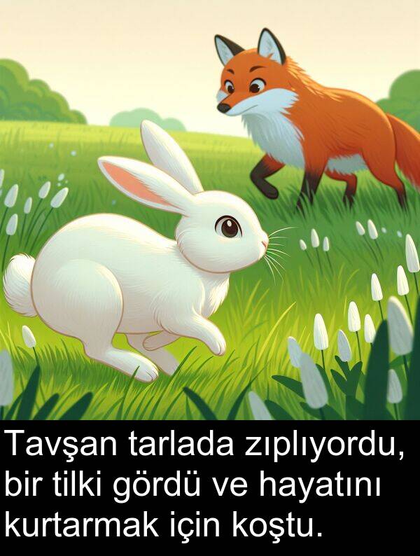 zıplıyordu: Tavşan tarlada zıplıyordu, bir tilki gördü ve hayatını kurtarmak için koştu.