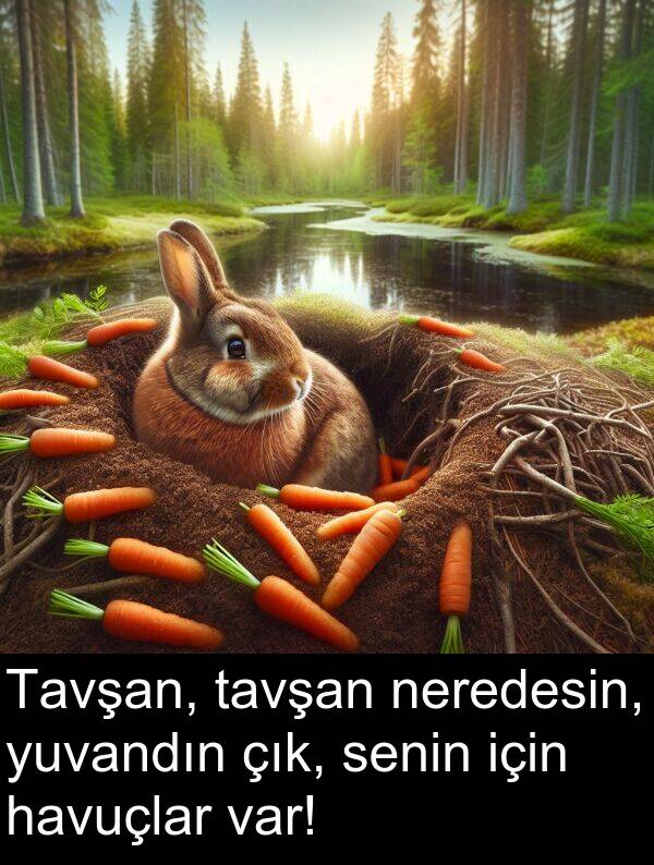 çık: Tavşan, tavşan neredesin, yuvandın çık, senin için havuçlar var!