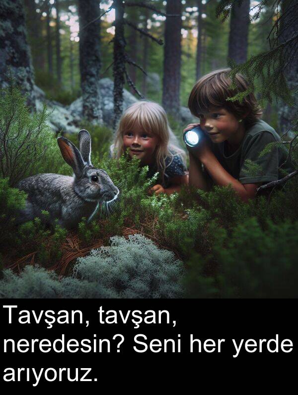 yerde: Tavşan, tavşan, neredesin? Seni her yerde arıyoruz.
