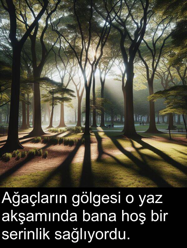 akşamında: Ağaçların gölgesi o yaz akşamında bana hoş bir serinlik sağlıyordu.