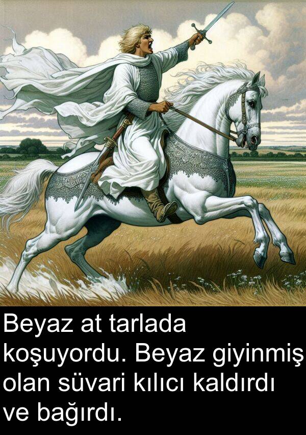 kaldırdı: Beyaz at tarlada koşuyordu. Beyaz giyinmiş olan süvari kılıcı kaldırdı ve bağırdı.