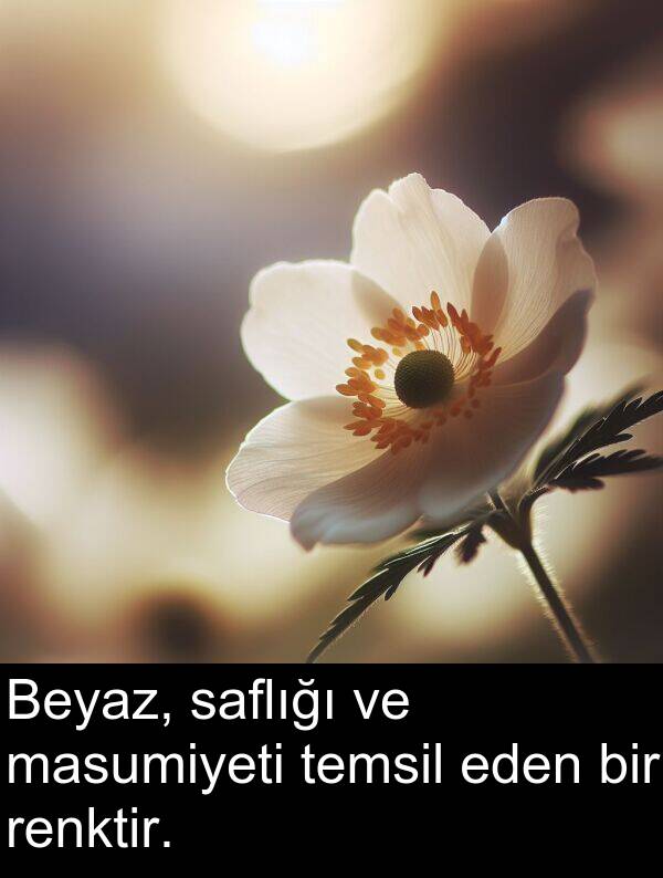 saflığı: Beyaz, saflığı ve masumiyeti temsil eden bir renktir.