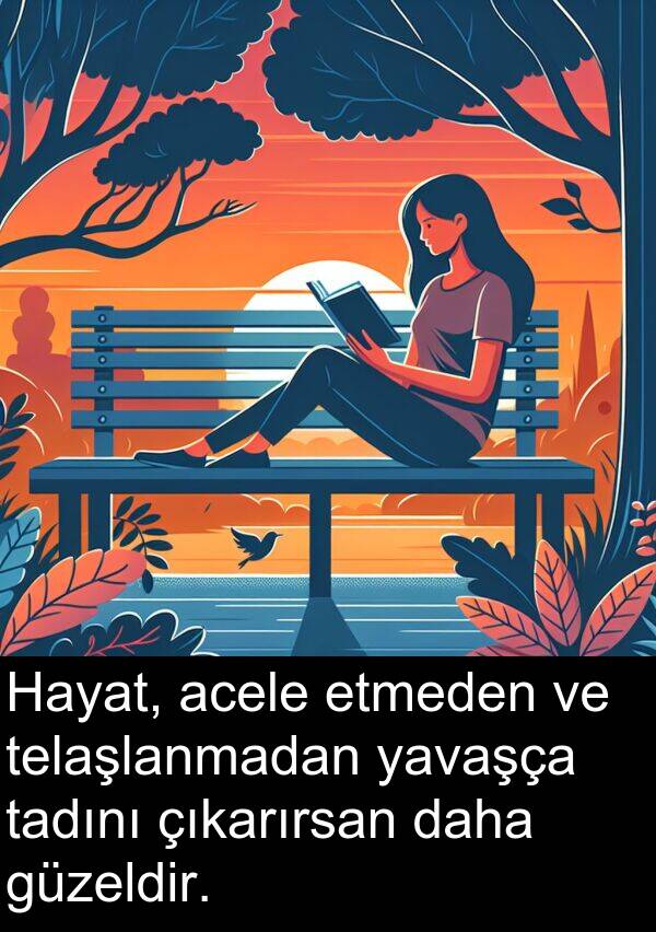 acele: Hayat, acele etmeden ve telaşlanmadan yavaşça tadını çıkarırsan daha güzeldir.