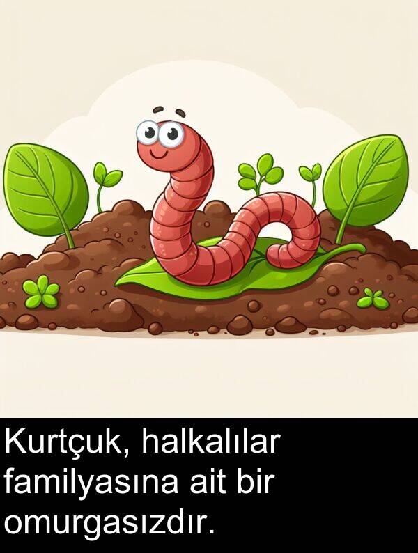 familyasına: Kurtçuk, halkalılar familyasına ait bir omurgasızdır.