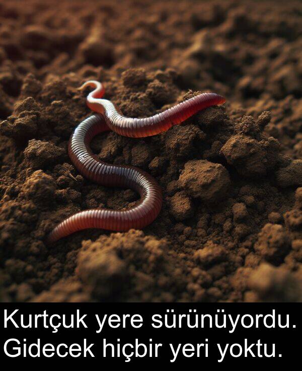yere: Kurtçuk yere sürünüyordu. Gidecek hiçbir yeri yoktu.