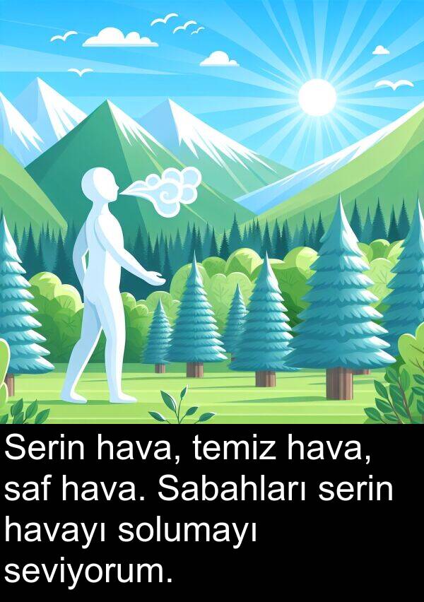 serin: Serin hava, temiz hava, saf hava. Sabahları serin havayı solumayı seviyorum.