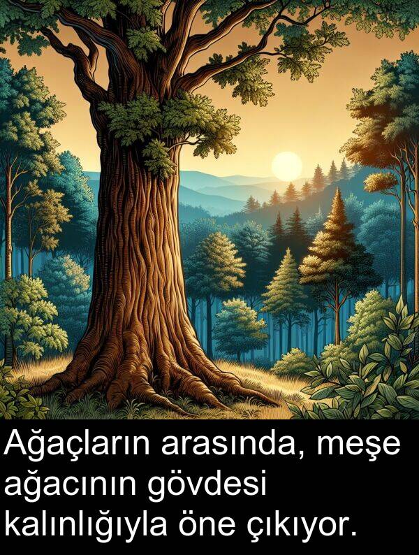 ağacının: Ağaçların arasında, meşe ağacının gövdesi kalınlığıyla öne çıkıyor.
