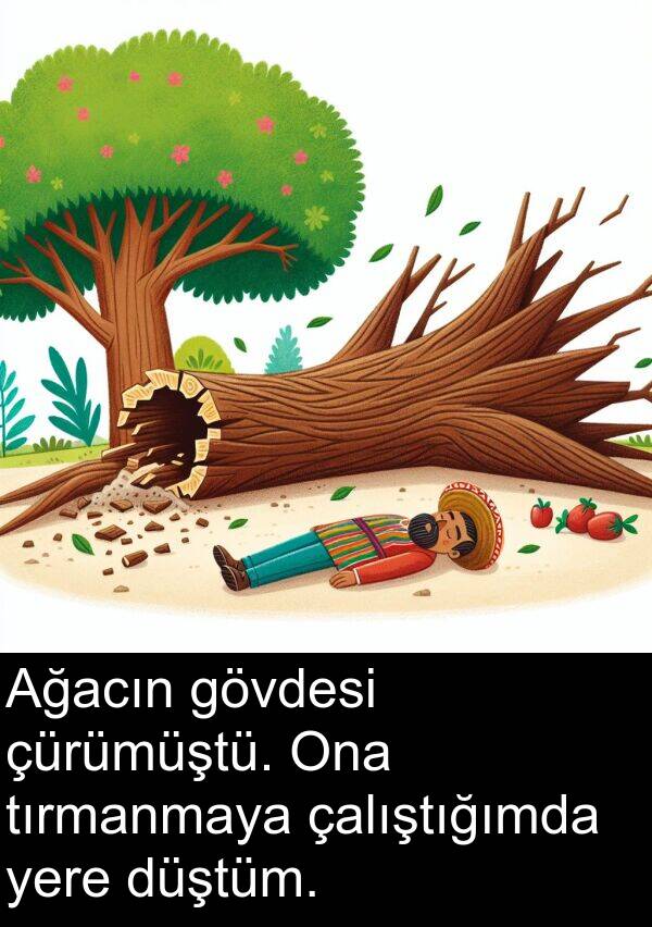 yere: Ağacın gövdesi çürümüştü. Ona tırmanmaya çalıştığımda yere düştüm.