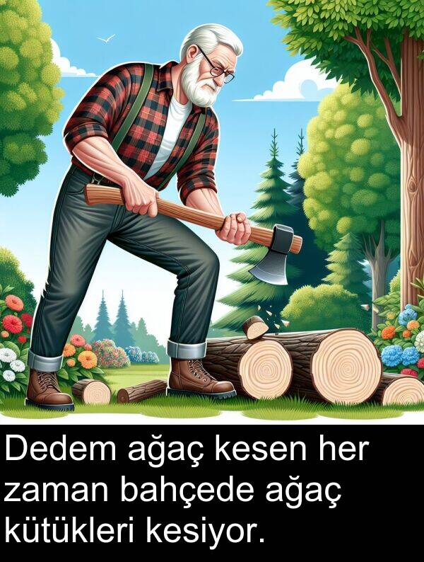 ağaç: Dedem ağaç kesen her zaman bahçede ağaç kütükleri kesiyor.