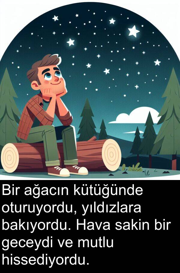 geceydi: Bir ağacın kütüğünde oturuyordu, yıldızlara bakıyordu. Hava sakin bir geceydi ve mutlu hissediyordu.