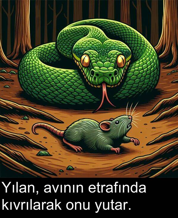 kıvrılarak: Yılan, avının etrafında kıvrılarak onu yutar.