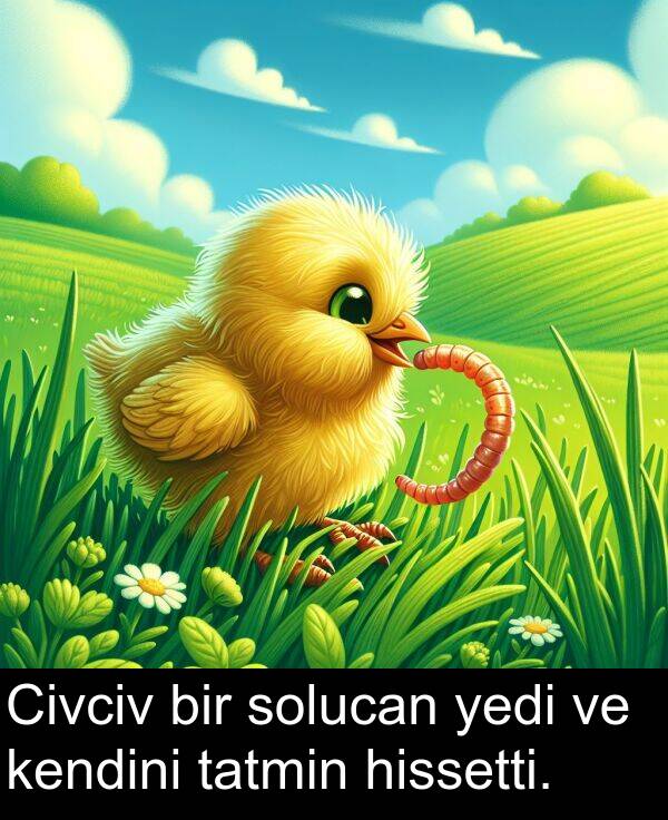 solucan: Civciv bir solucan yedi ve kendini tatmin hissetti.