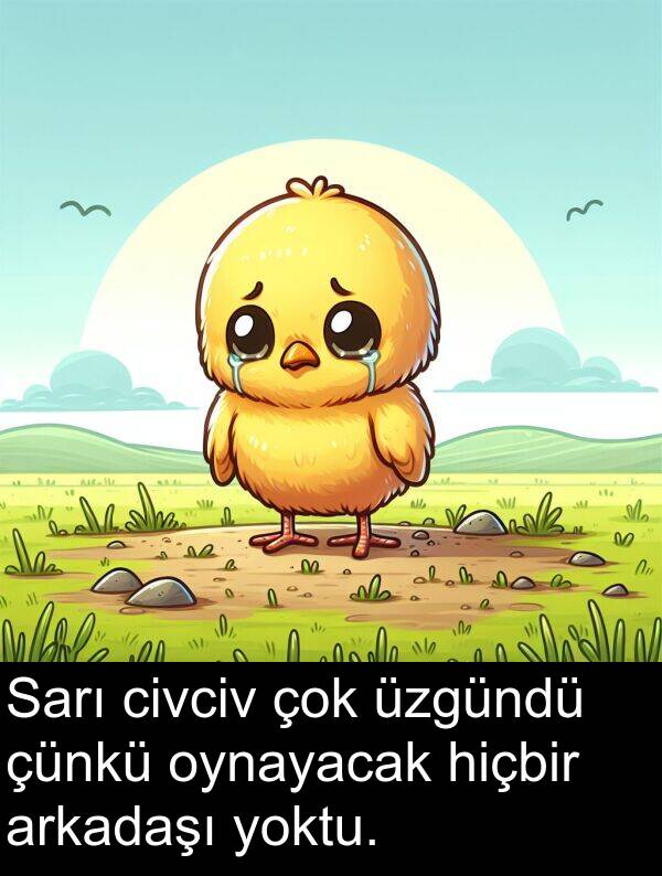 hiçbir: Sarı civciv çok üzgündü çünkü oynayacak hiçbir arkadaşı yoktu.