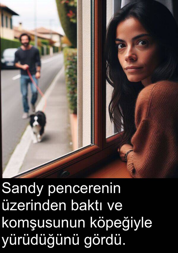 pencerenin: Sandy pencerenin üzerinden baktı ve komşusunun köpeğiyle yürüdüğünü gördü.