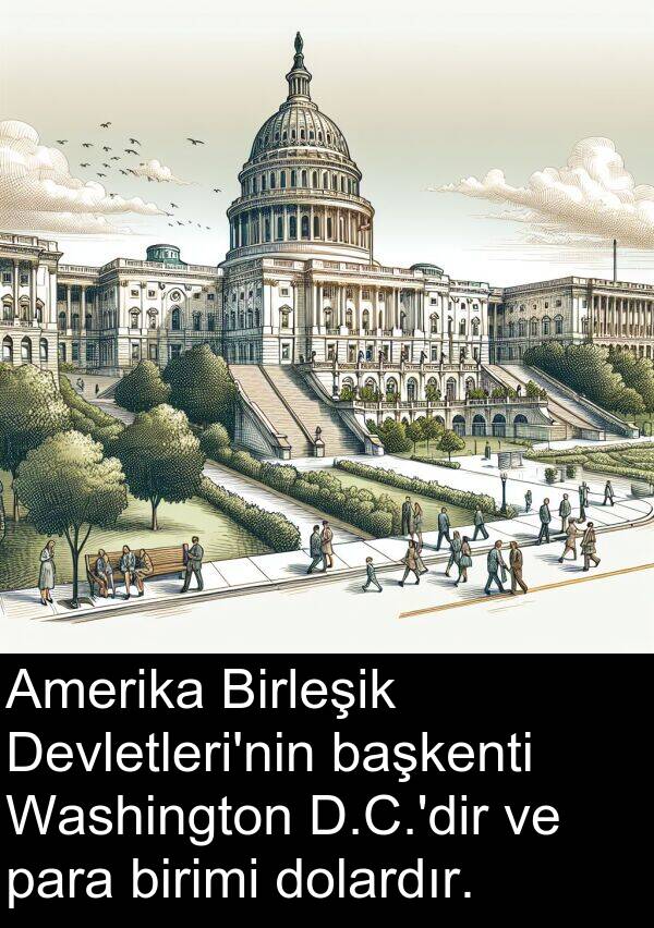 para: Amerika Birleşik Devletleri'nin başkenti Washington D.C.'dir ve para birimi dolardır.