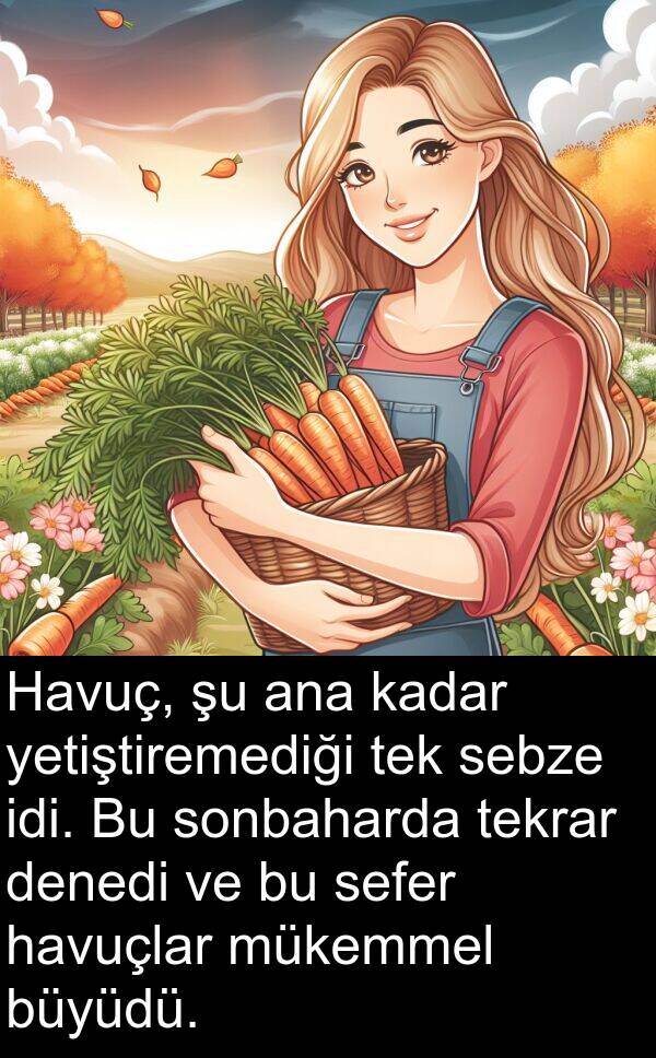 sefer: Havuç, şu ana kadar yetiştiremediği tek sebze idi. Bu sonbaharda tekrar denedi ve bu sefer havuçlar mükemmel büyüdü.
