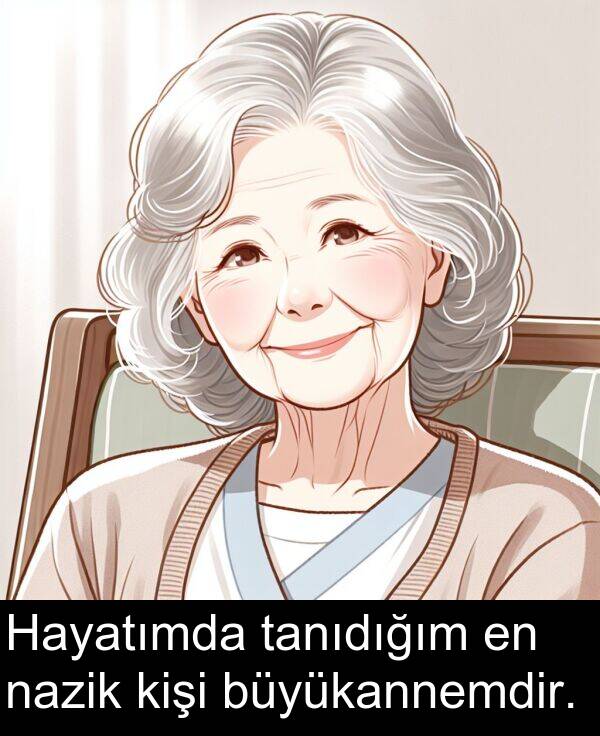 nazik: Hayatımda tanıdığım en nazik kişi büyükannemdir.