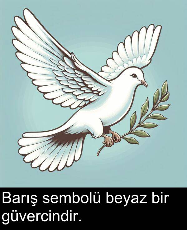güvercindir: Barış sembolü beyaz bir güvercindir.