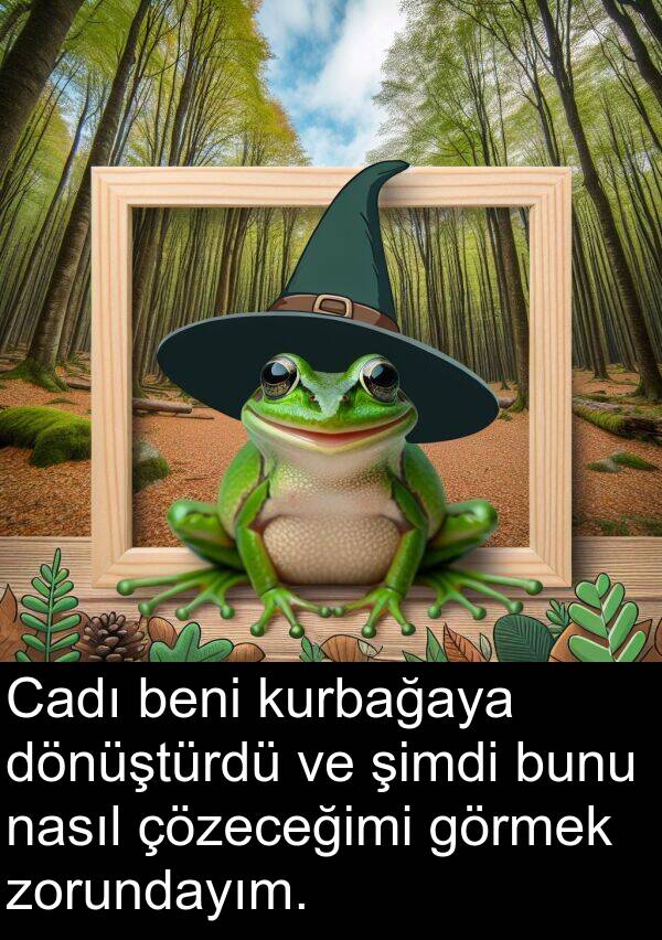 nasıl: Cadı beni kurbağaya dönüştürdü ve şimdi bunu nasıl çözeceğimi görmek zorundayım.
