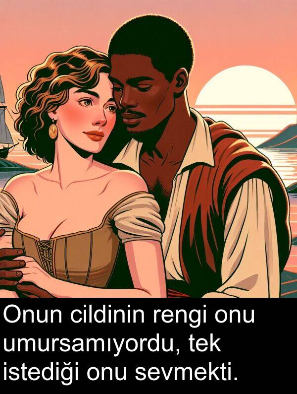 istediği: Onun cildinin rengi onu umursamıyordu, tek istediği onu sevmekti.