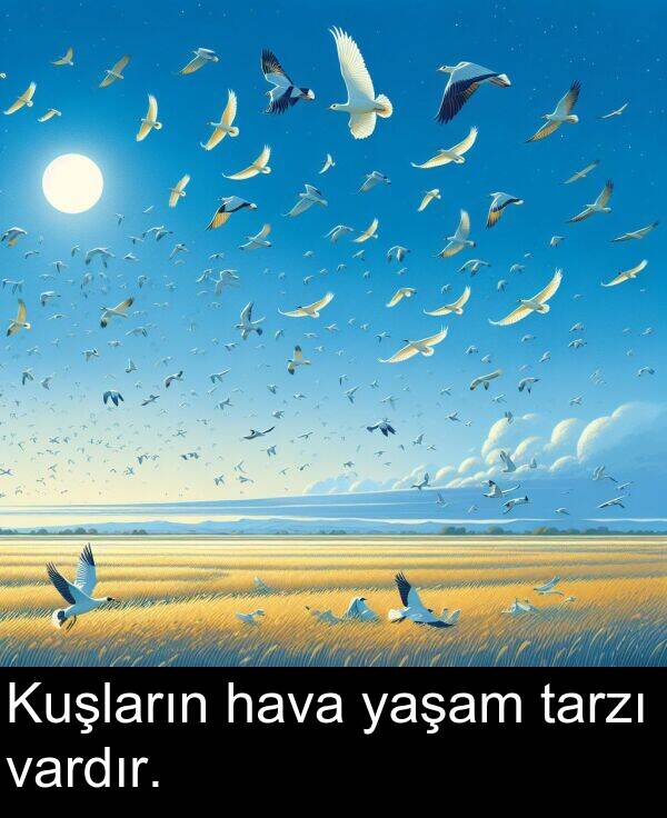 vardır: Kuşların hava yaşam tarzı vardır.
