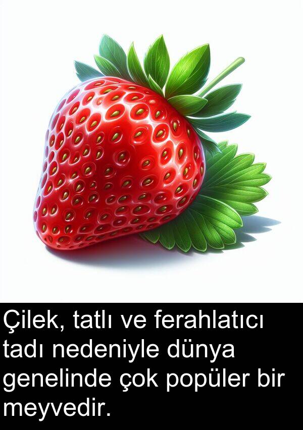 genelinde: Çilek, tatlı ve ferahlatıcı tadı nedeniyle dünya genelinde çok popüler bir meyvedir.