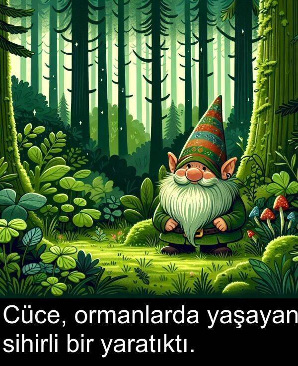 yaratıktı: Cüce, ormanlarda yaşayan sihirli bir yaratıktı.