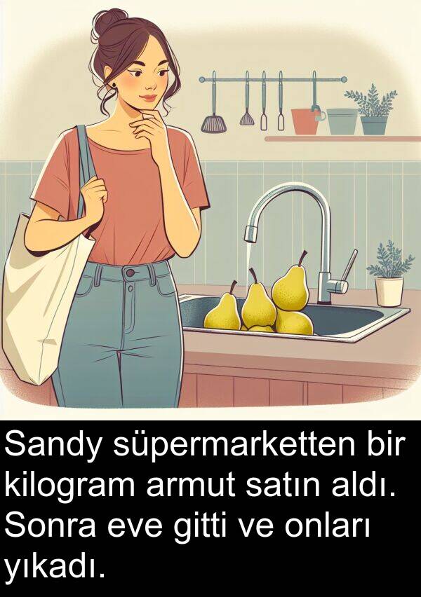 satın: Sandy süpermarketten bir kilogram armut satın aldı. Sonra eve gitti ve onları yıkadı.