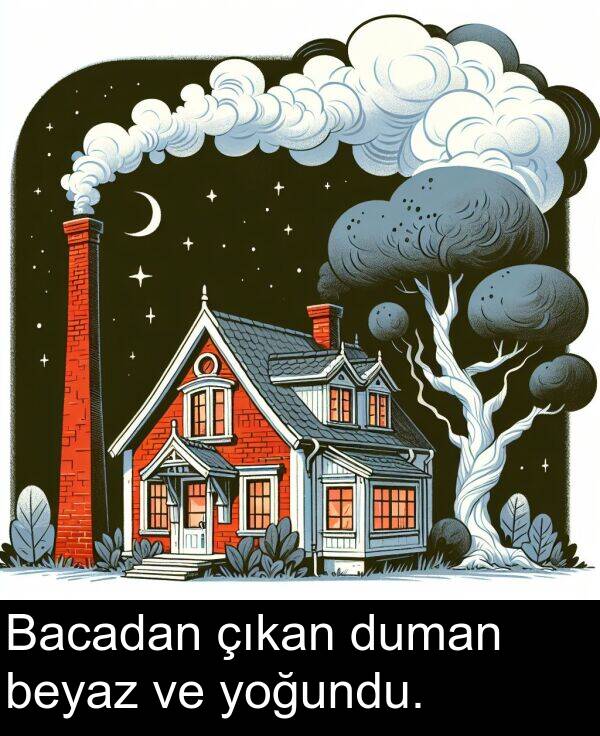çıkan: Bacadan çıkan duman beyaz ve yoğundu.