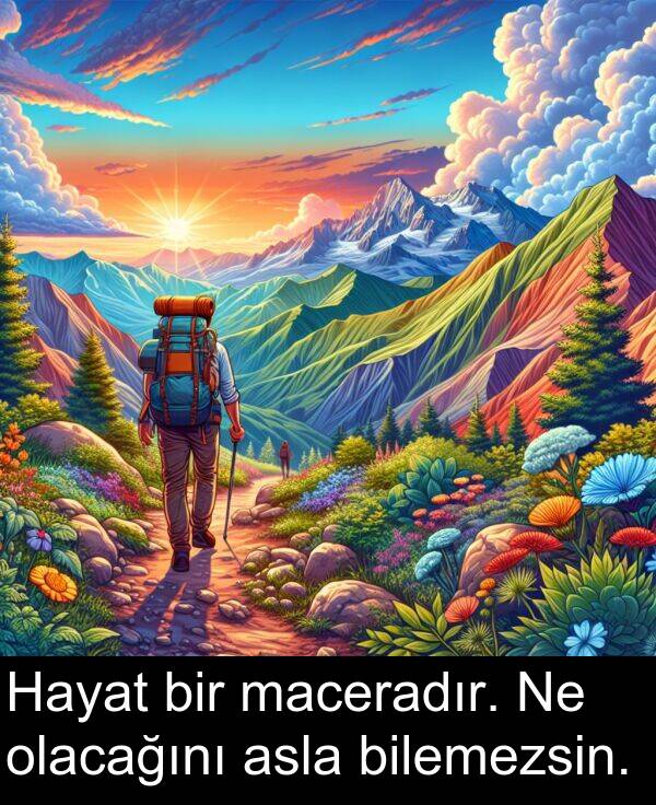 bilemezsin: Hayat bir maceradır. Ne olacağını asla bilemezsin.