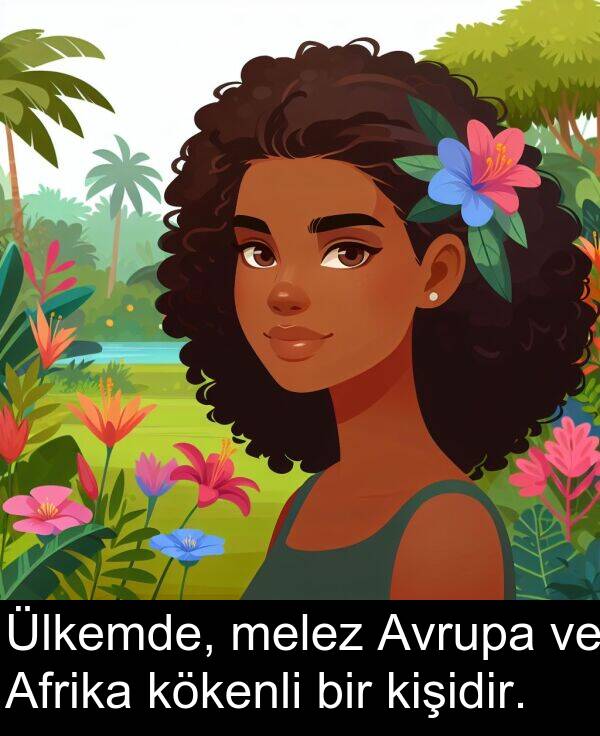 kökenli: Ülkemde, melez Avrupa ve Afrika kökenli bir kişidir.